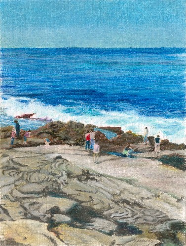 La Jolla Tide Pools