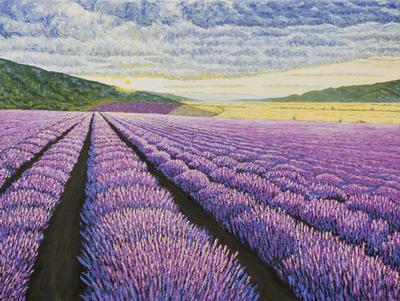 Lavender field with mountains on a background